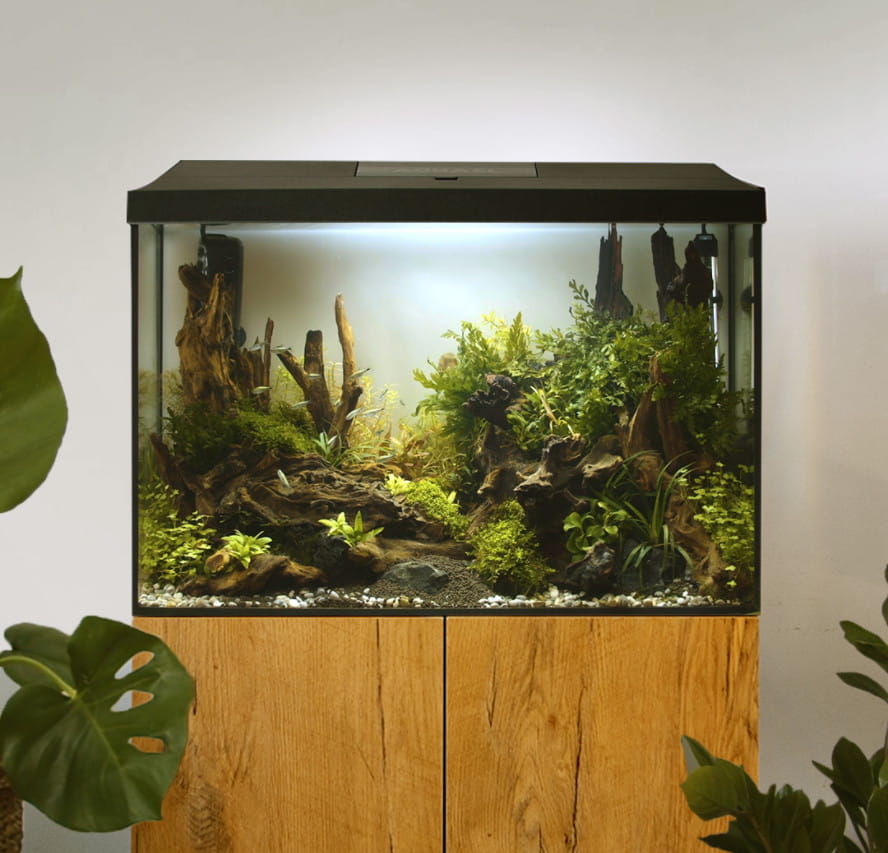 ZESTAW LEDDY XL DAY NIGHT 40 AKWARIUM 35 L CZARNE
